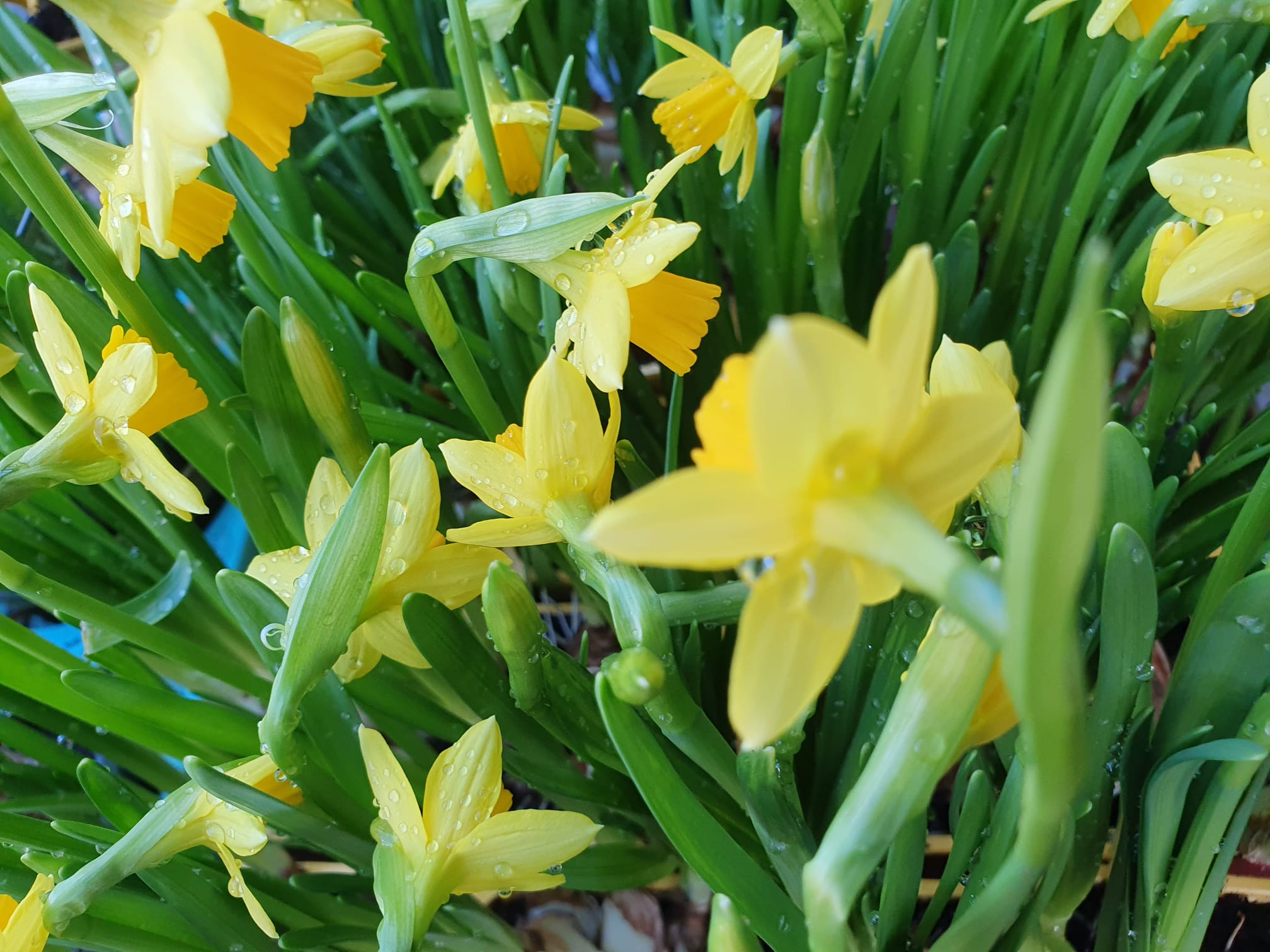 WhatsApp Image 2024-02-29 at 13.35.45