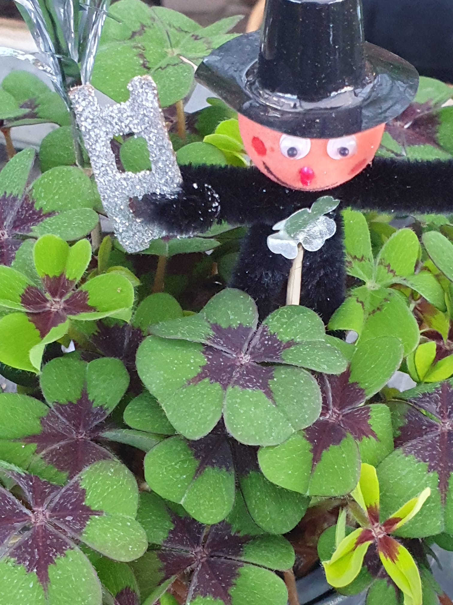 WhatsApp Image 2023-12-28 at 11.39.01