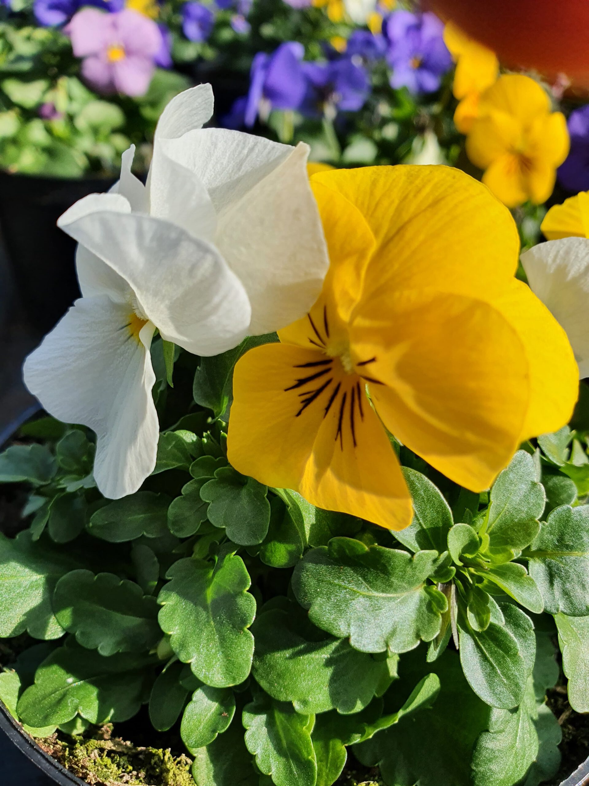 WhatsApp Image 2024-01-15 at 20.51.20 (1)