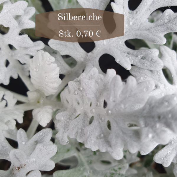 Zwischenüberschrift hinzufügen (4)