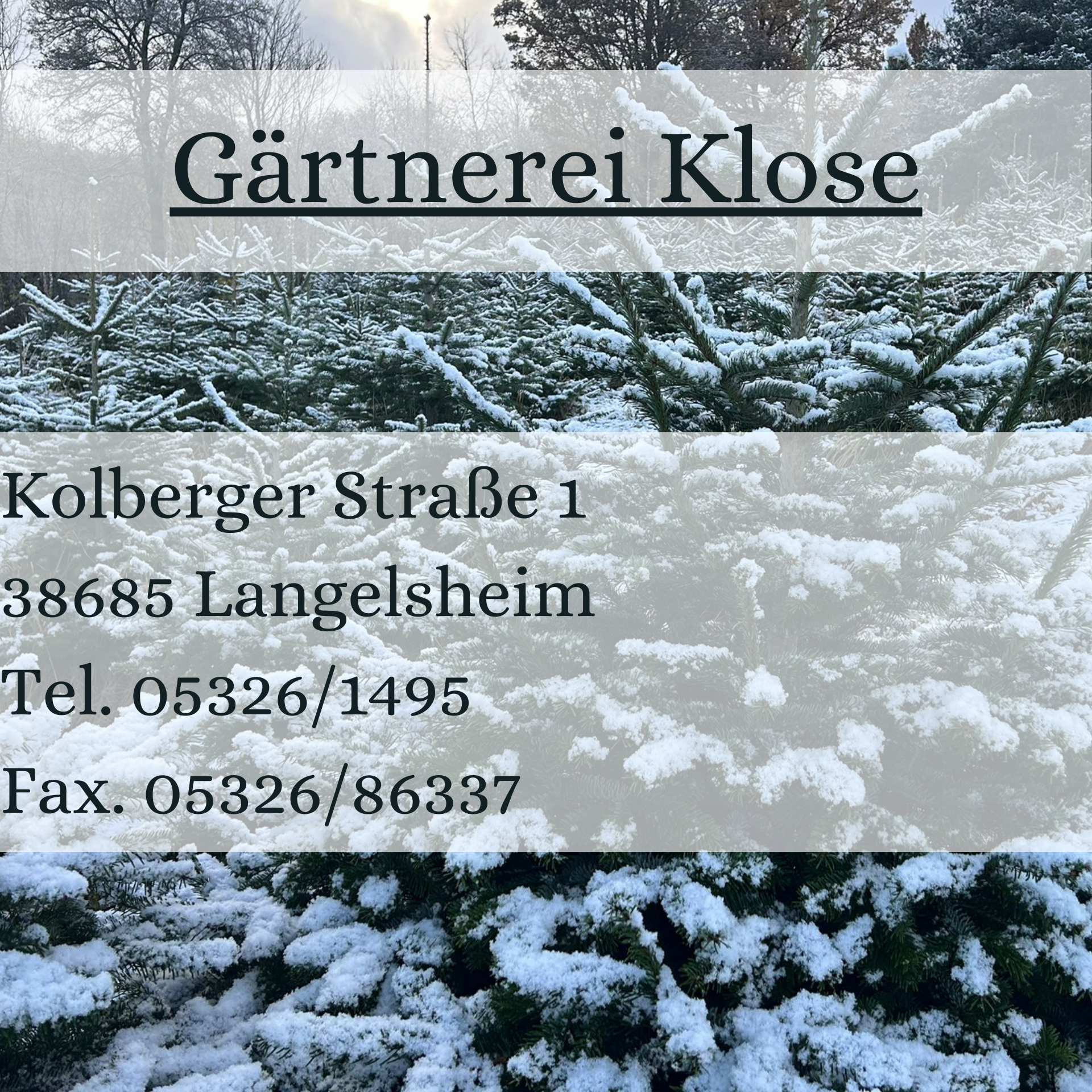 Zwischenüberschrift hinzufügen (7)