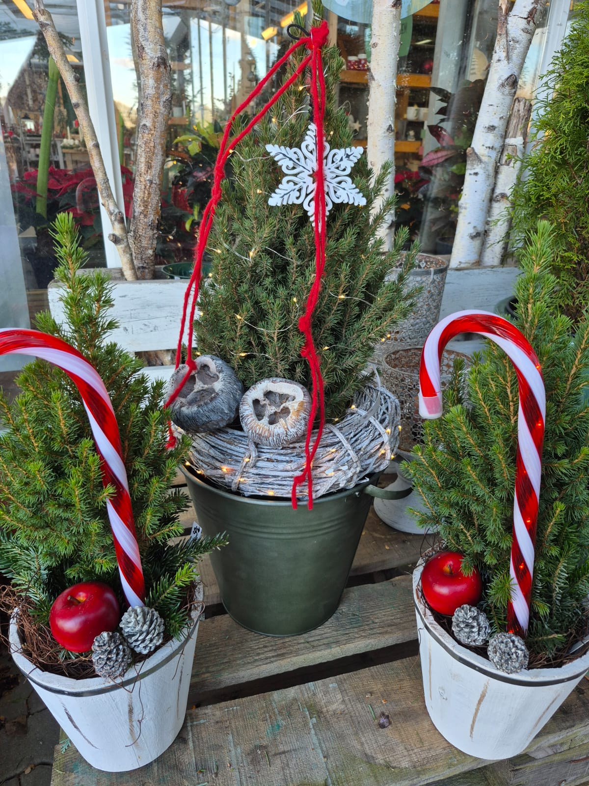 WhatsApp Image 2025-11-23 at 11.00.43