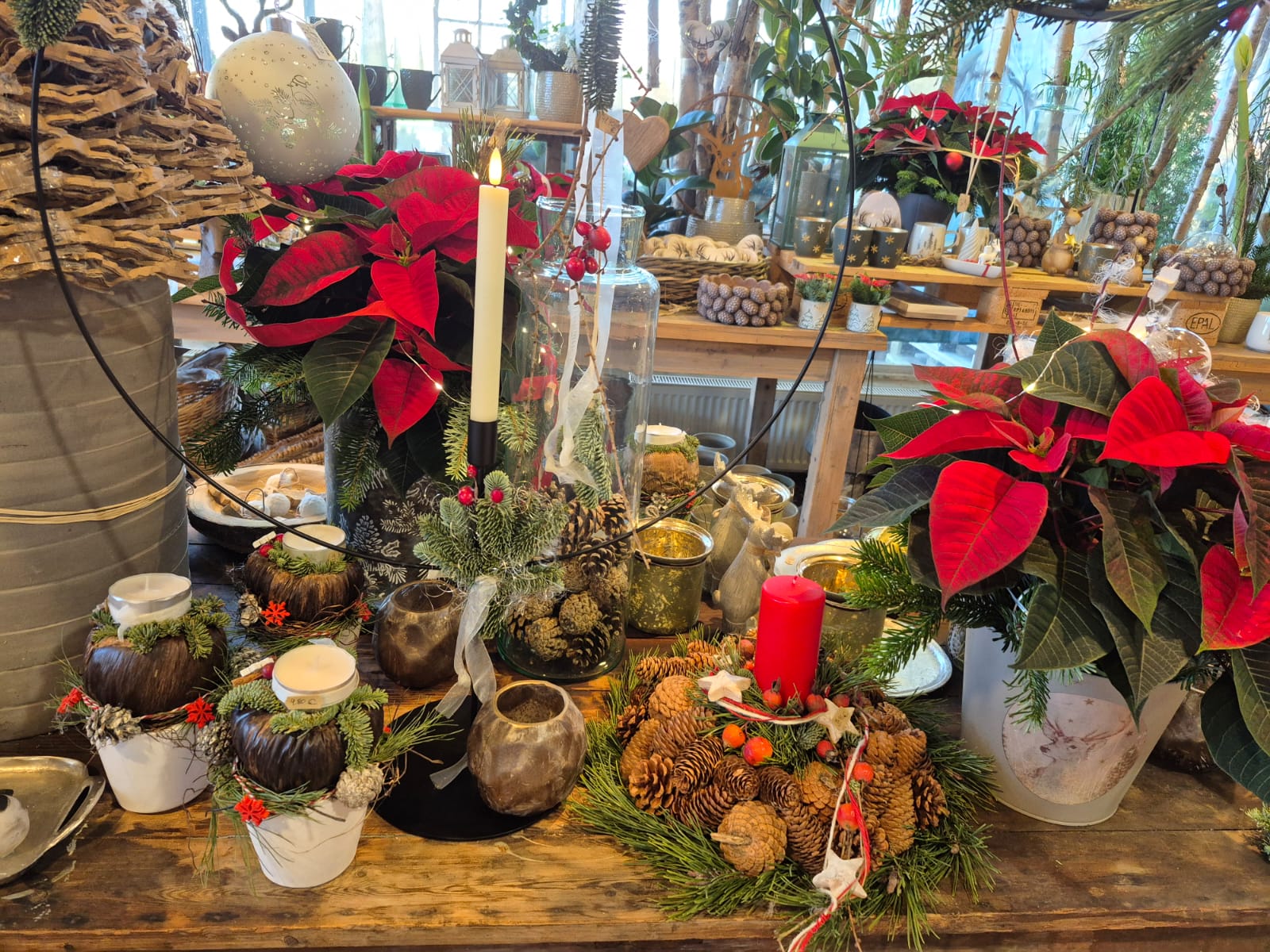 WhatsApp Image 2025-11-23 at 11.00.43(4)